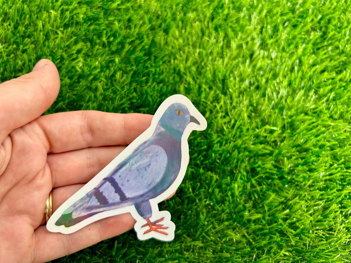 Iridescent Pigeon Sticker