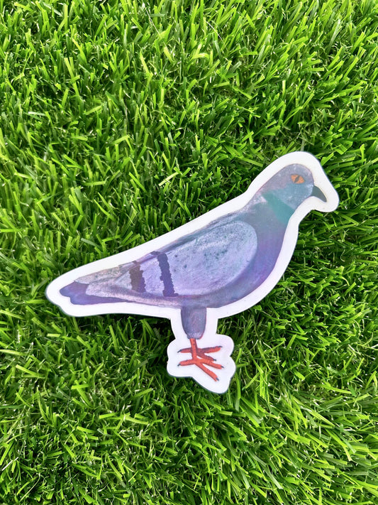 Iridescent Pigeon Sticker