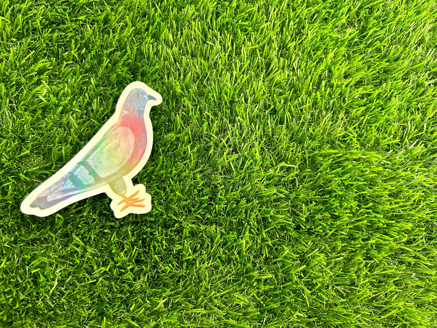 Iridescent Pigeon Sticker