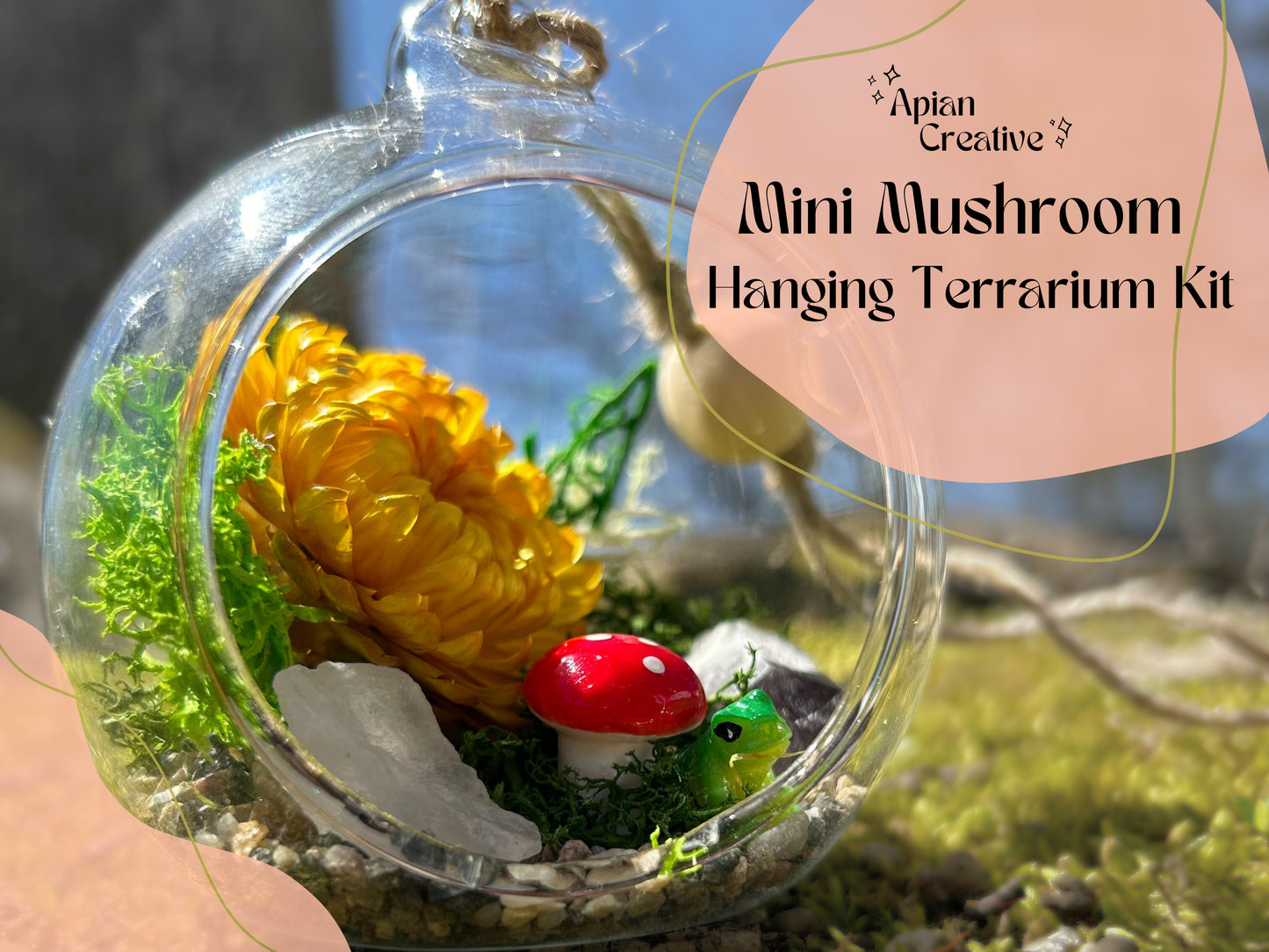 hanging plant terrarium kit Mini Mushroom Hanging Terrarium Kit – ApianCreative