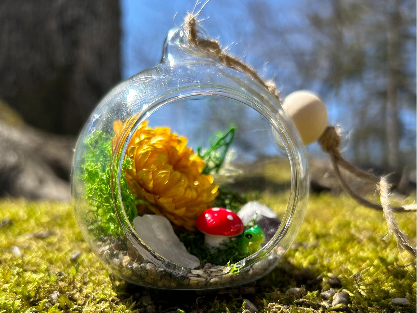 Mini Mushroom Hanging Terrarium Kit