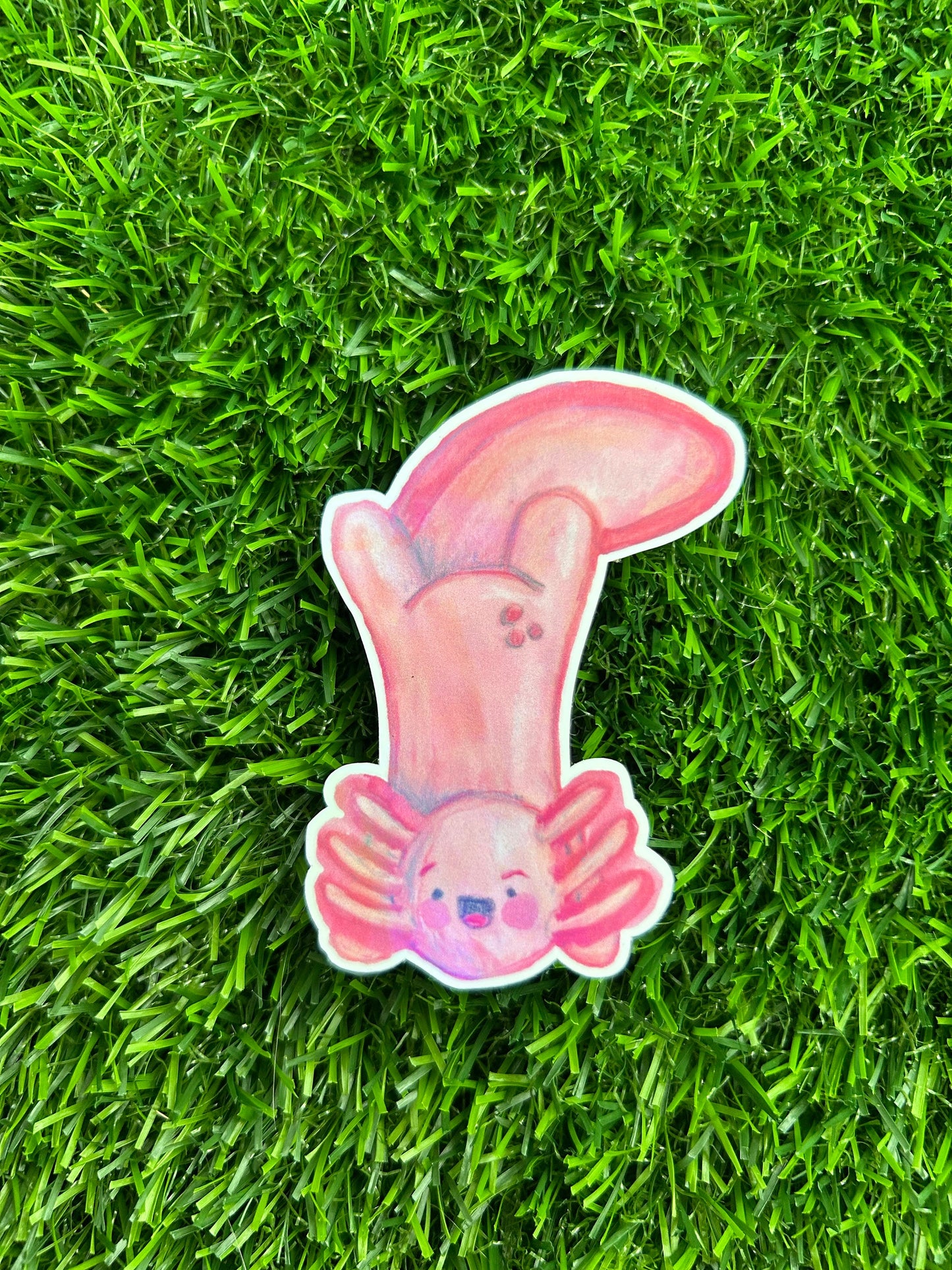 Cute Pink Axolotl Sticker