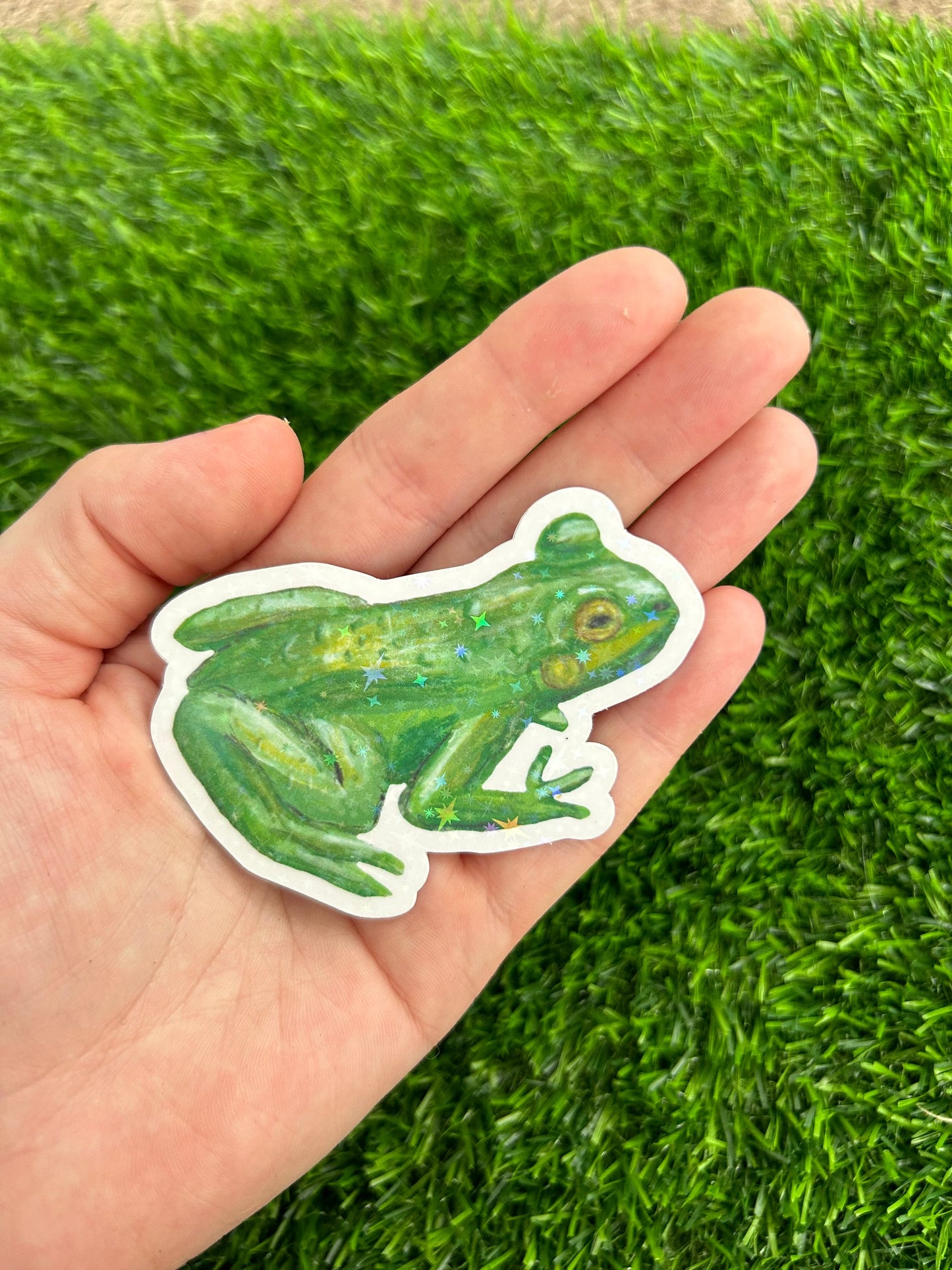 Hand Drawn Frog Vinyl Sticker