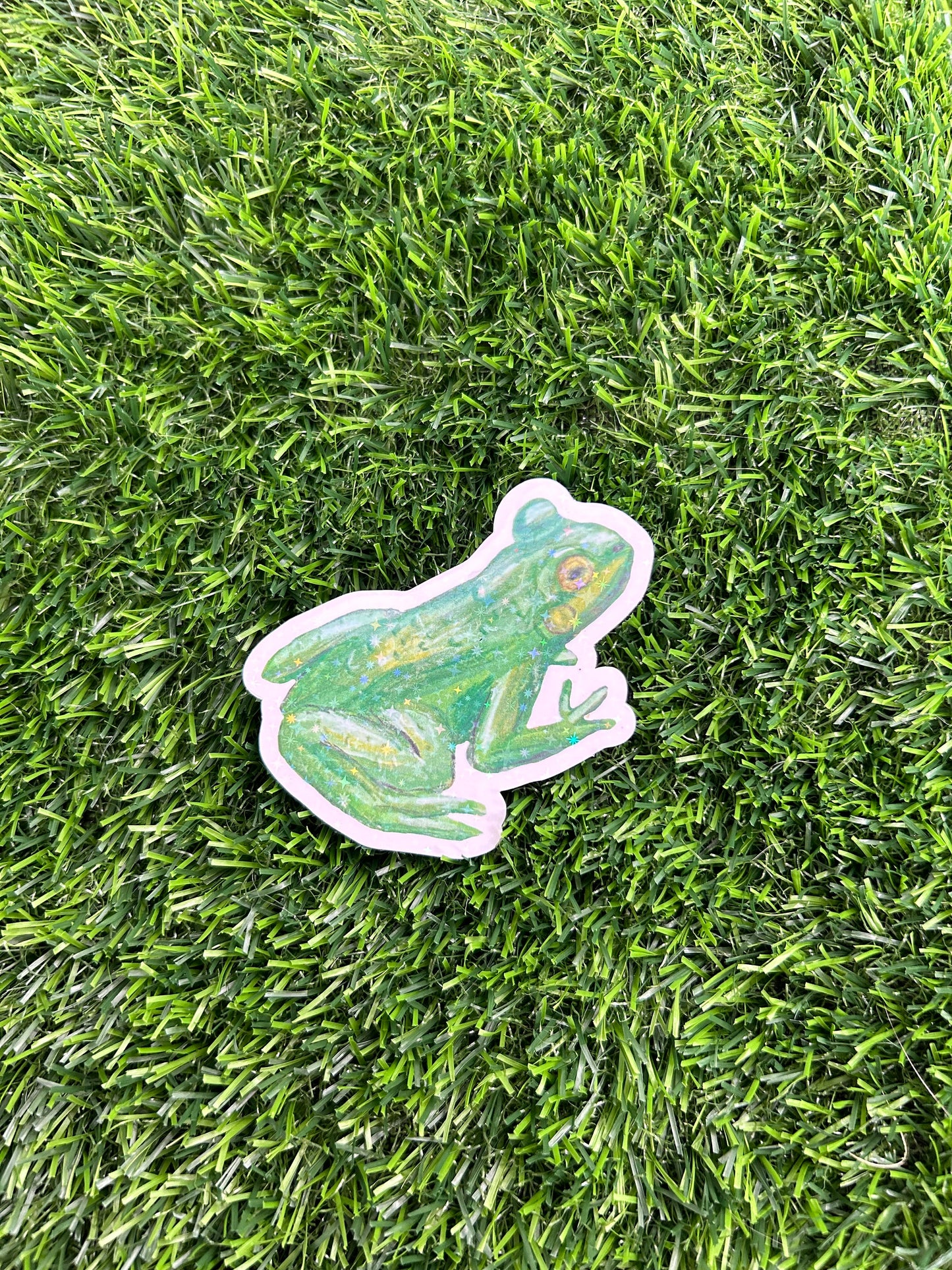 Hand Drawn Frog Vinyl Sticker